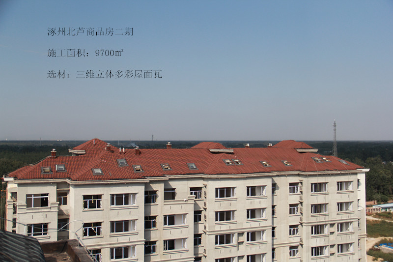 涿州北蘆項目